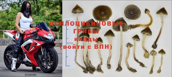сатива Алексин