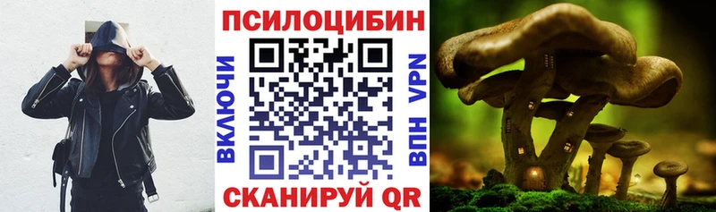 Псилоцибиновые грибы MAGIC MUSHROOMS Черепаново